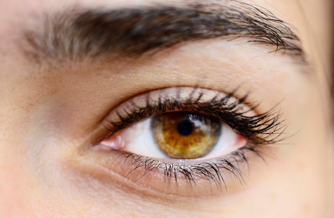 Free Woman's Brown Eye Stock Photo